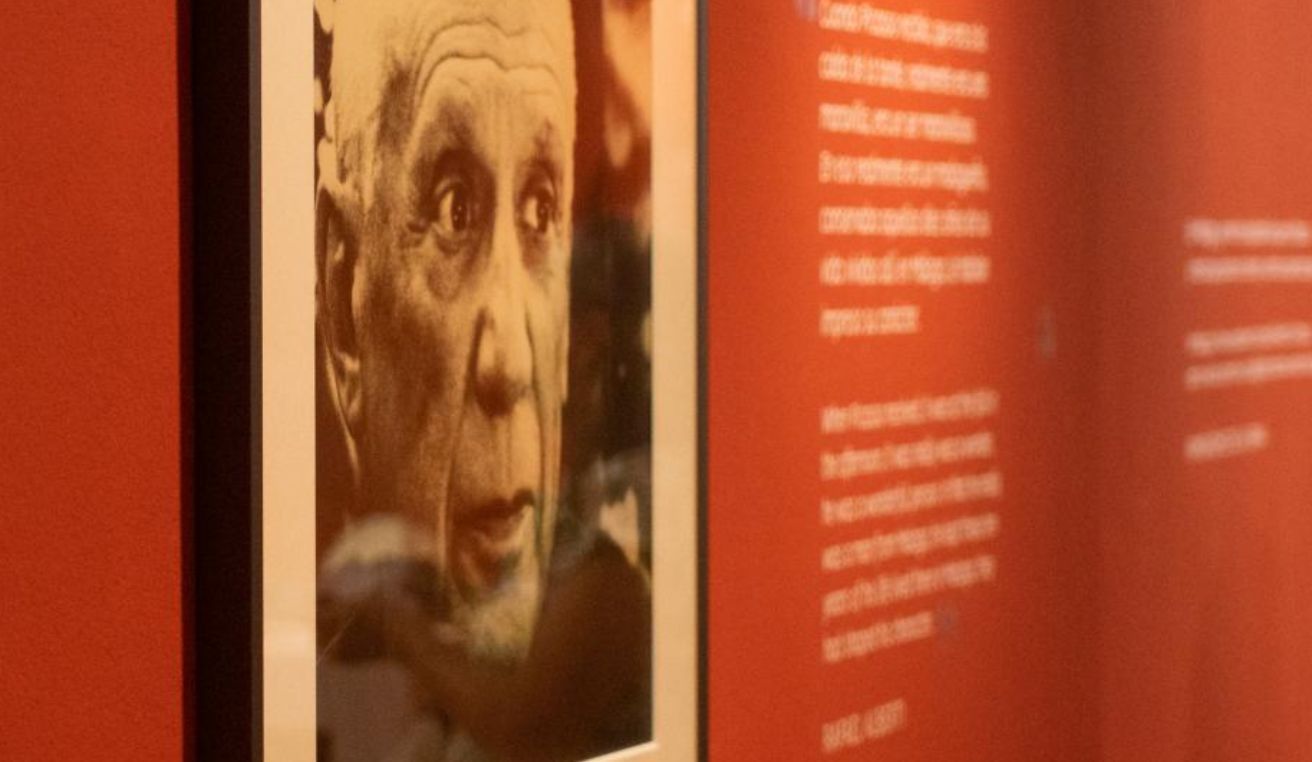 Tras los pasos de Picasso