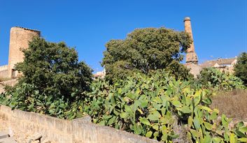 Sa Teulera: Ceramics as Everyday Art image