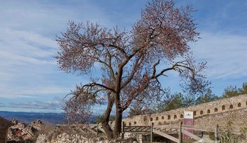 2. Cabrera’s Statue image