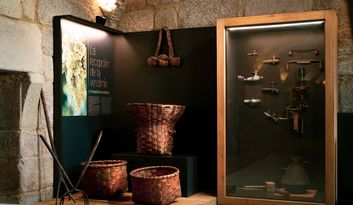 SECTION ELEVEN: THE TRADITIONAL WINE CELLAR image