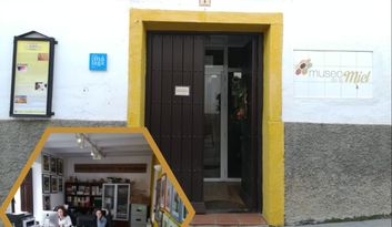 1. Situación, edificio y proyecto image