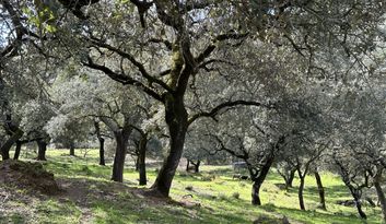 Eco-Challenge 4: Did you know? image