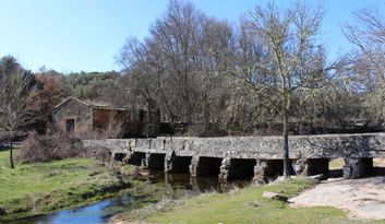 Brandilanes Rivera image