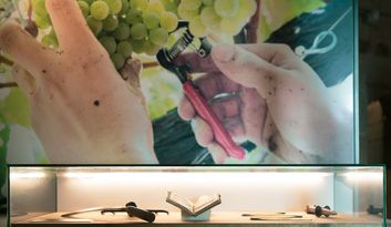 SECCIÓN 8. TÉCNICAS DE INJERTO Y PODA. image