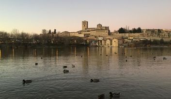 Intro. Zamora image