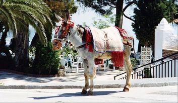 Mijas: Mar y Sierra, Destino Único image