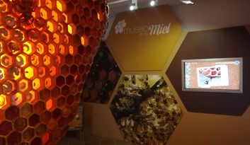 14. Sala La Colmena. Pantalla image