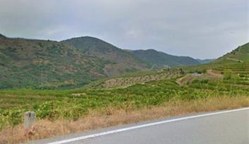 Freixo Carretera image