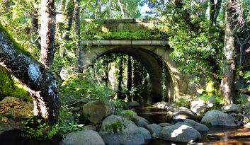 15. Puente del Martinete image