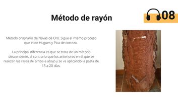 8. Método de rayón image