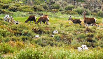 Routes and Trails image