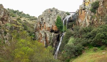 Faia de Agua Alta image