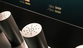 SECCIÓN 17: CATA Y MARIDAJE. image