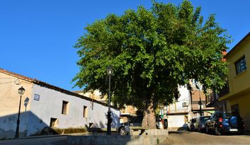 6. Barrio de los Machacalinos image