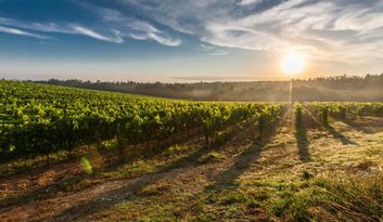 Vila Nova Bodegas image