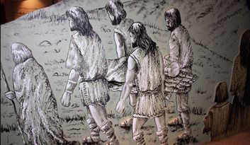 Morales de Rey. Aula Arqueológica image