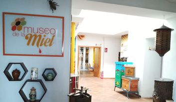 2. Entrada del Museo y Sala de Video image