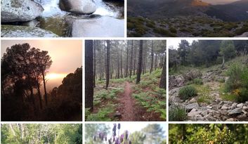 11. Naturaleza de La Adrada image