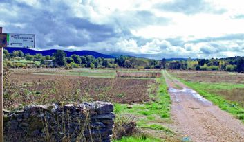 Agallas.Naturaleza image