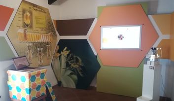 8. Sala de las ventanas: parte derecha image