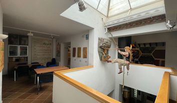 12. Orígenes de la apicultura, prehistoria, egipcios e íberos image