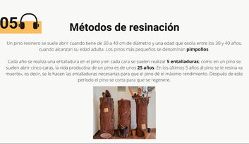 5. Métodos de resinación image