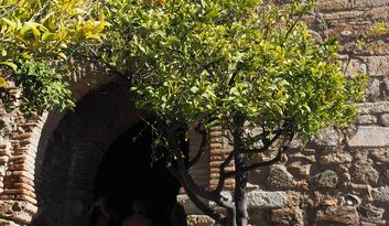 5. La Porta del Cristo image