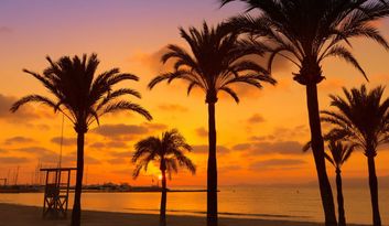 Farewell: Llucmajor, More Than a Destination image