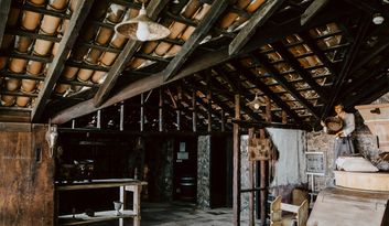 Th current situation of gofio and the mills  image