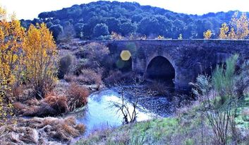 Gallegos.Naturaleza image
