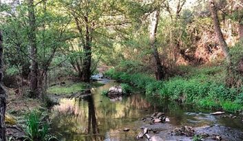 Alcanices. Sahú image