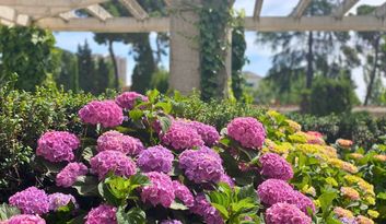 31. Jardines de Cecilio Rodríguez y la senda botánica 5 image