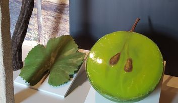 SECCIÓN 4. LA VID. image