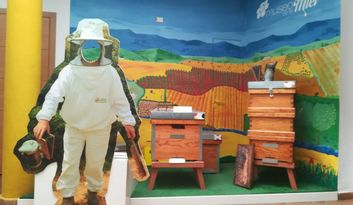 3. Patio, Colmenas Modernas y Cazador de Miel image
