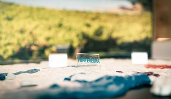SECTION THREE. WINE IN GALICIA. image