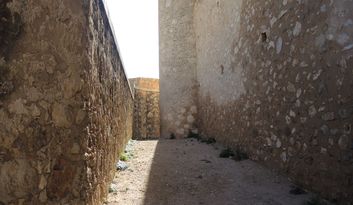 3. Liza y Embudo image