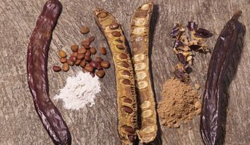 Es Garrover de Mallorca: The Carob Revolution image