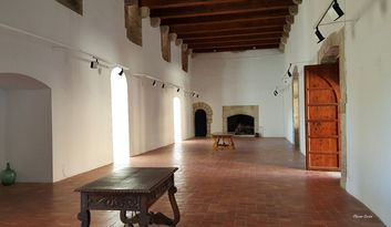 3. Sala de las chimeneas. Gran salón comedor image