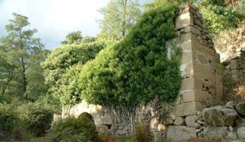 19. Presa Chica, Puente de los Clavos, Molinos papel image