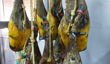 Huelva. Ham van het Ibericovarken image