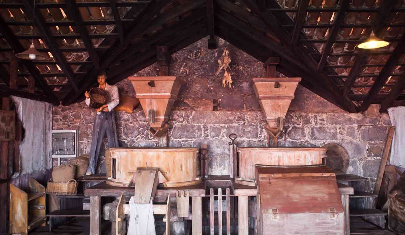 Ruta Técnica del Molino de Gofio - Casa Lercaro